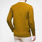 Belavoire | Men’s Classic V-Neck Sweater Rayon Blend